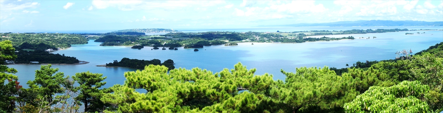 DSC00953_R