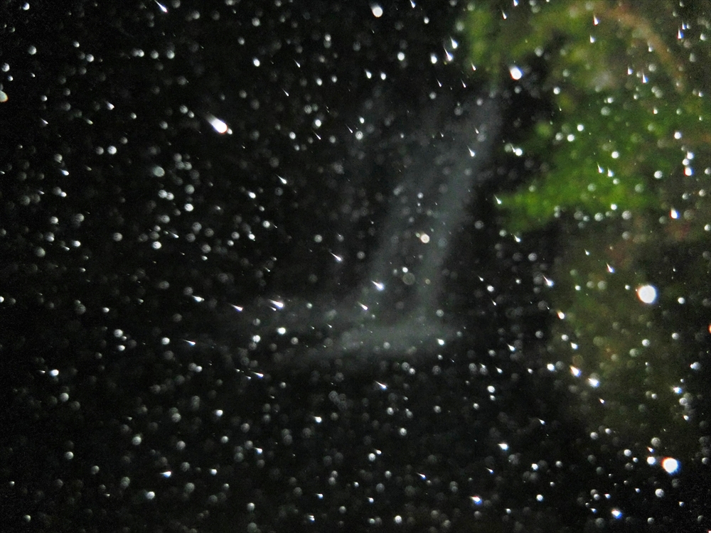 CIMG1258_R