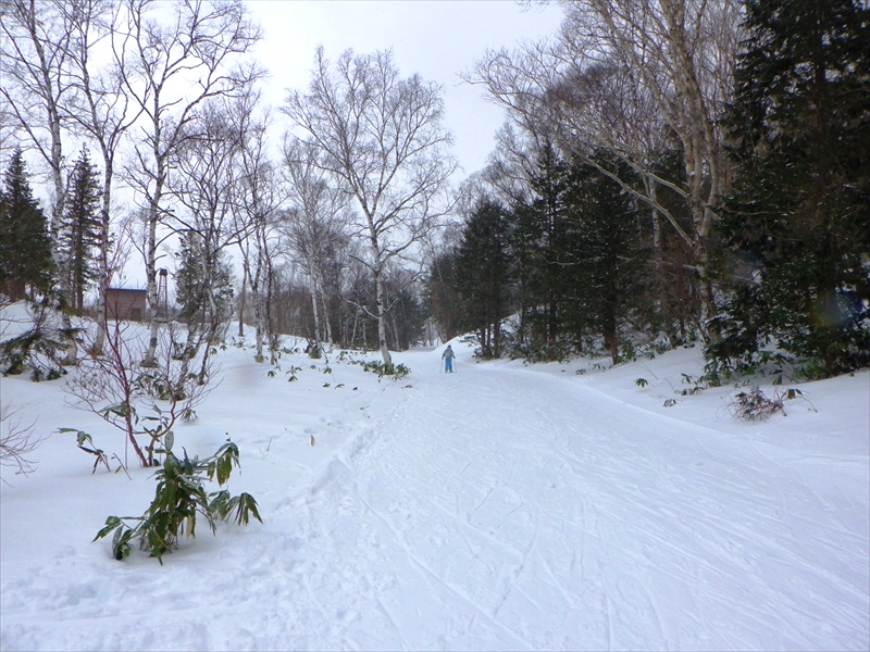 R0013537_R