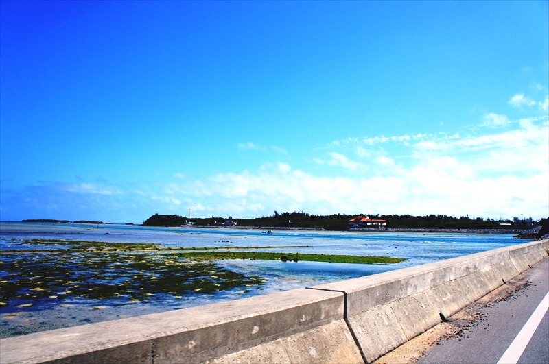 DSC03494_R