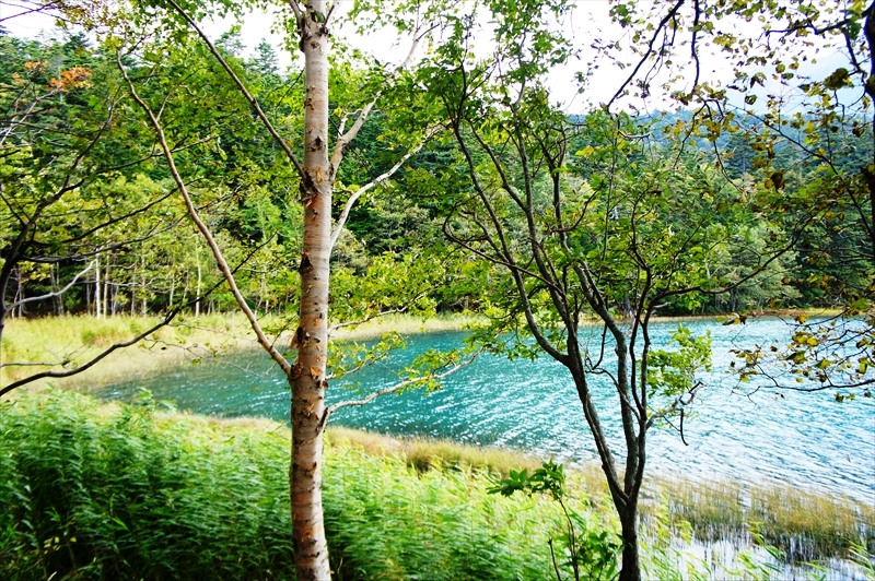 DSC00356_R