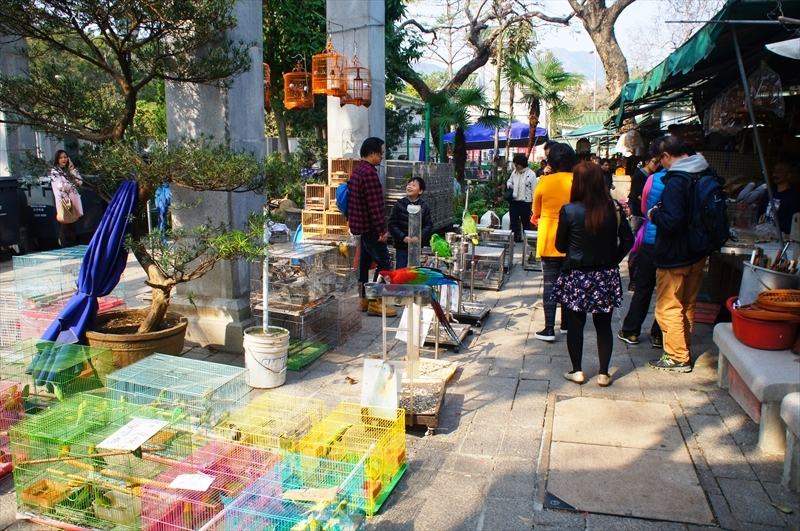 DSC00794_R