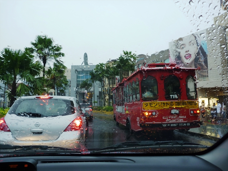 P1000808_R