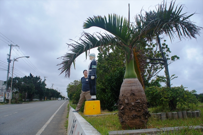 DSC00056_R