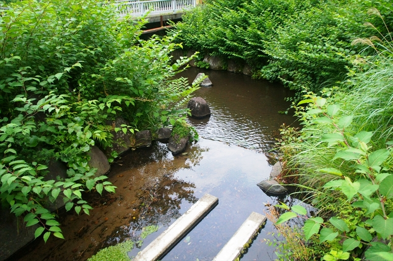 DSC00122_R