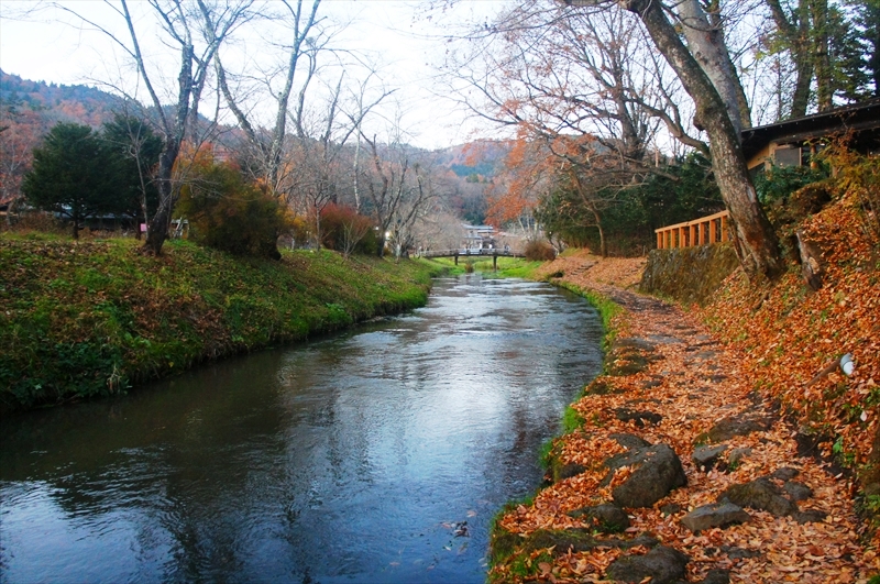 DSC00839_R