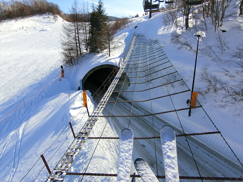 CIMG2009_R