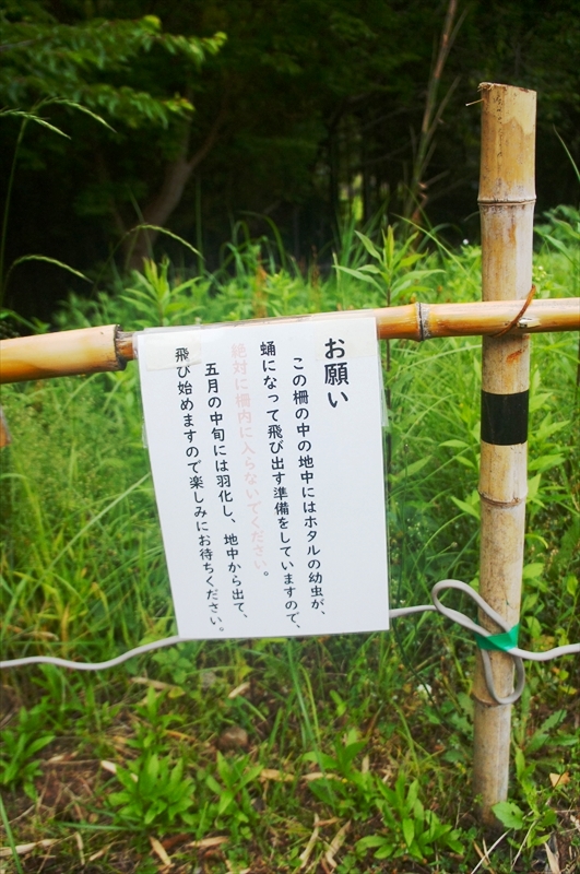 DSC00124_R
