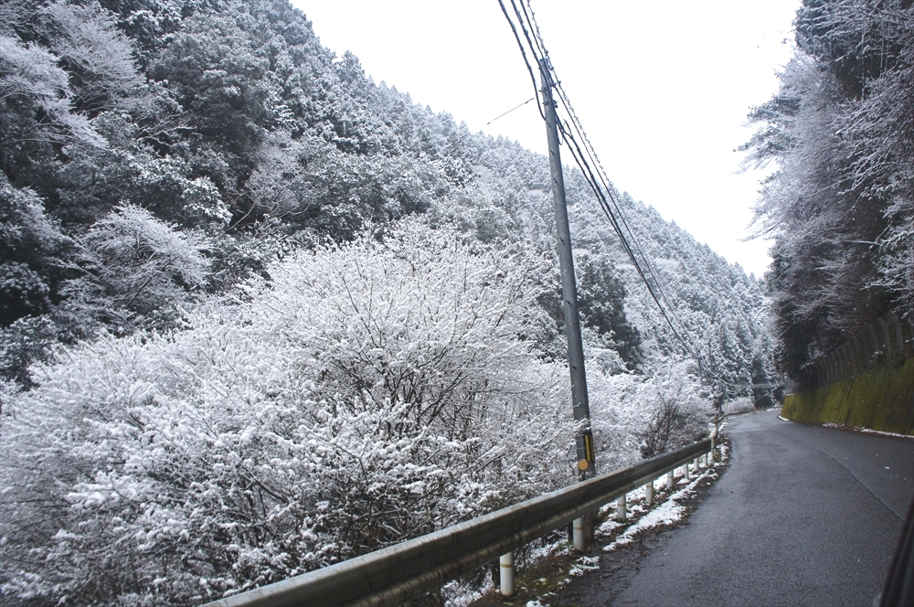 DSC01104_R