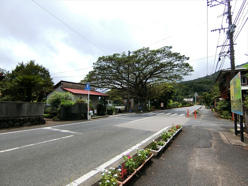 CIMG4990_R