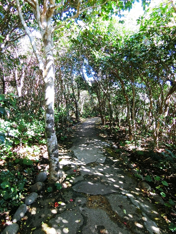 CIMG6338_R