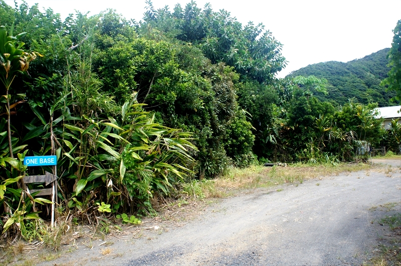 DSC00765_R