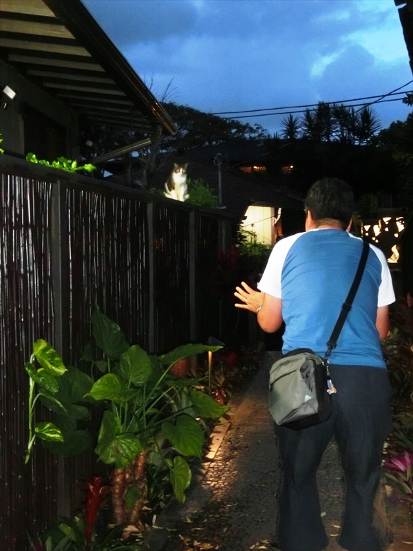 CIMG0588_R