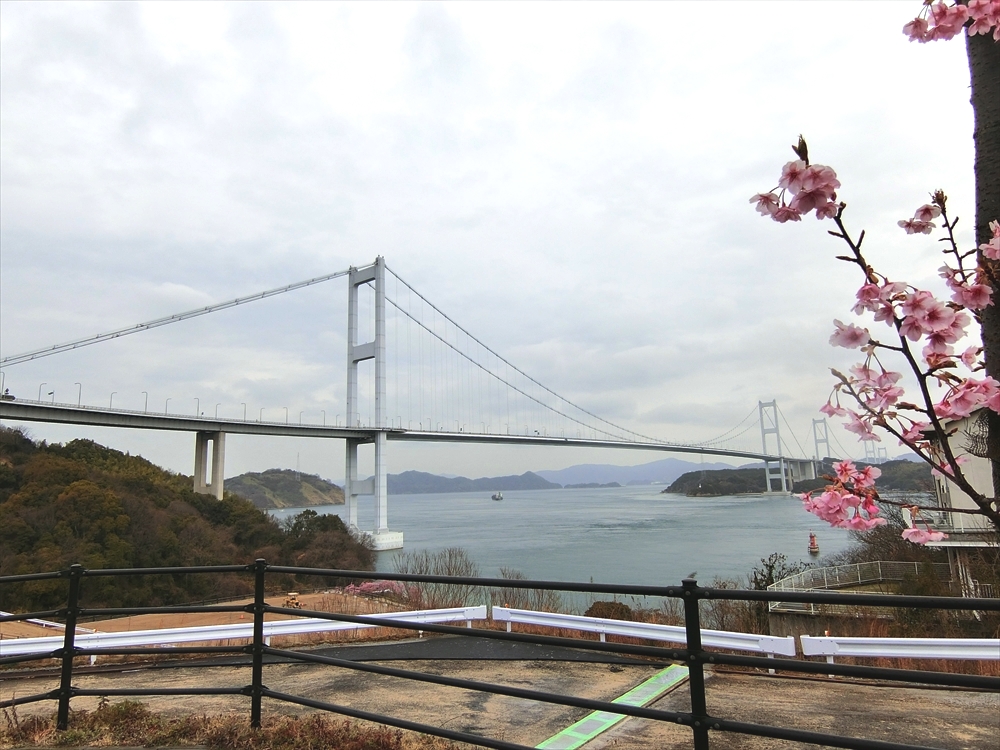 CIMG7637_R
