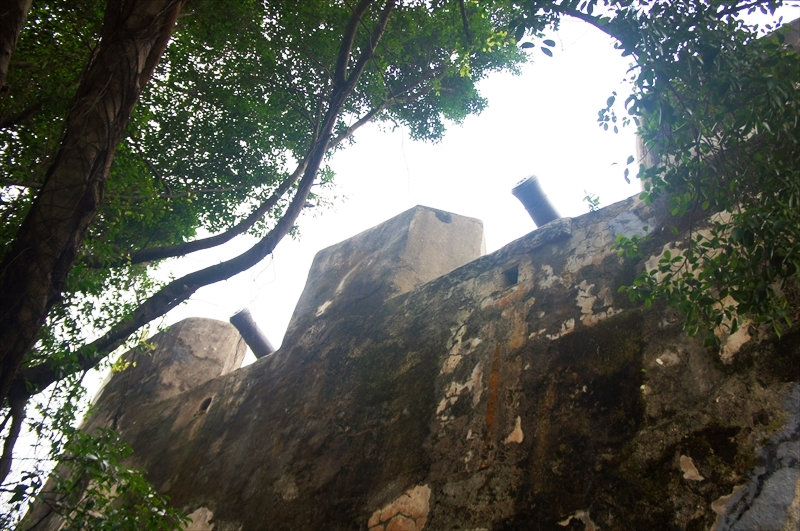 DSC01347_R