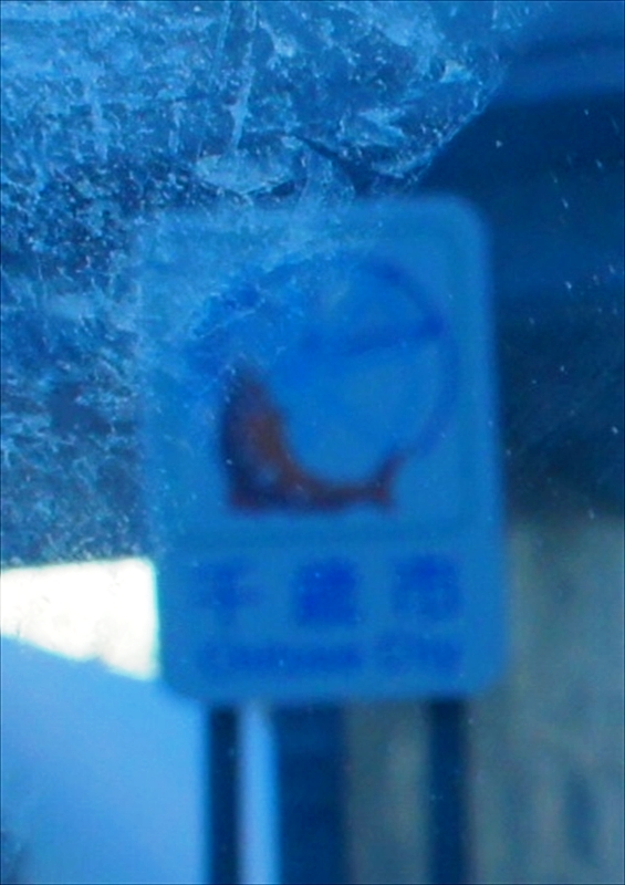 DSC00297_R