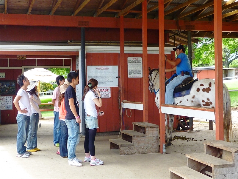 P1020395_R