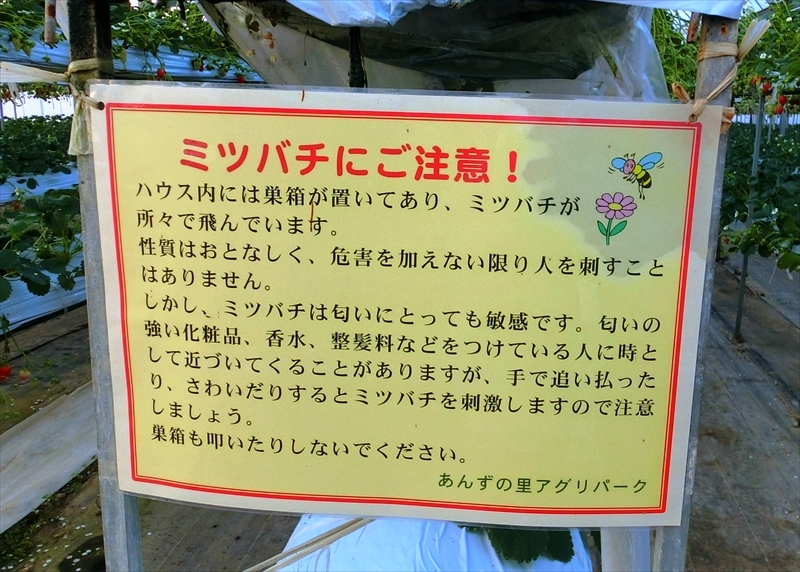 CIMG0145_R