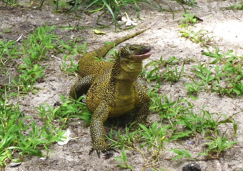 P10005410_R