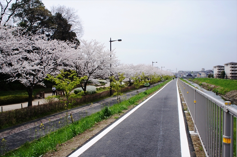 DSC03855_R
