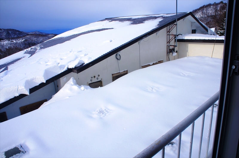 DSC00465_R