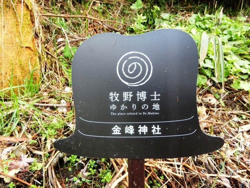 CIMG7601_R
