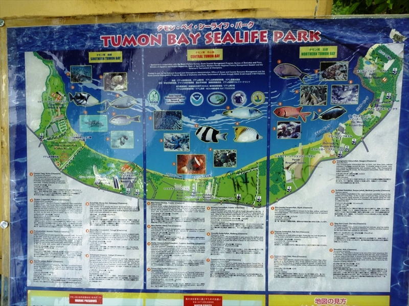 P1000812_R
