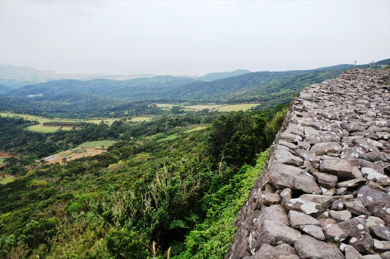 DSC02958_R