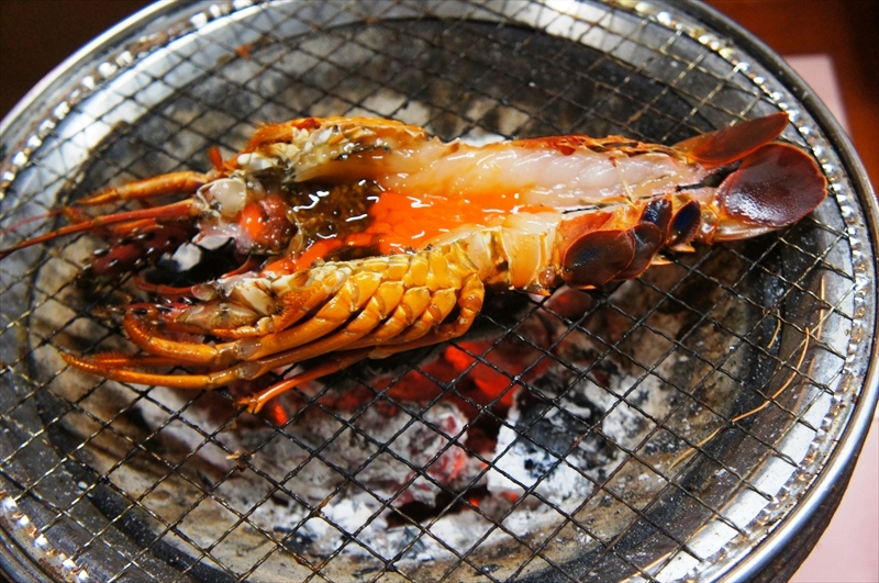 DSC02830_R