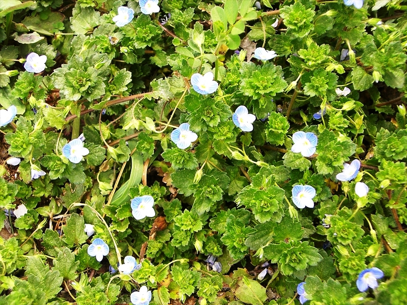 CIMG7346_R