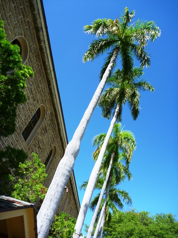 P1030005_R