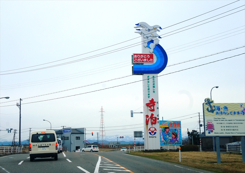 DSC02426_R