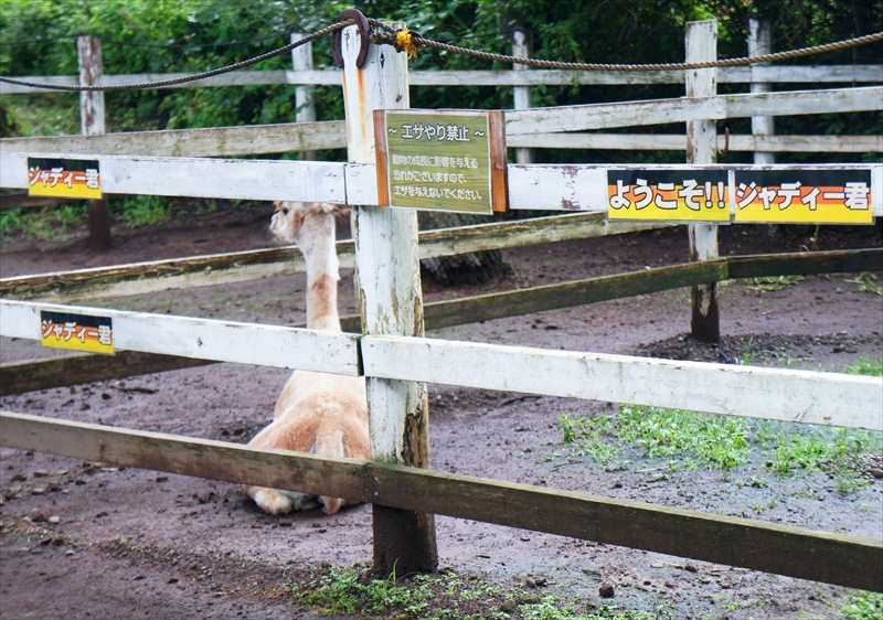 DSC02172_R