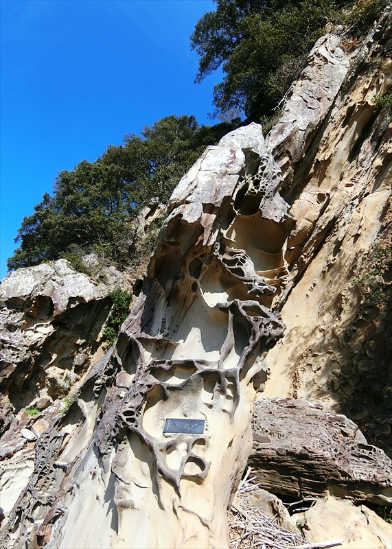 CIMG6563_R