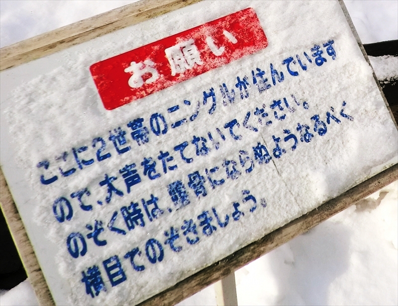 CIMG1267_R