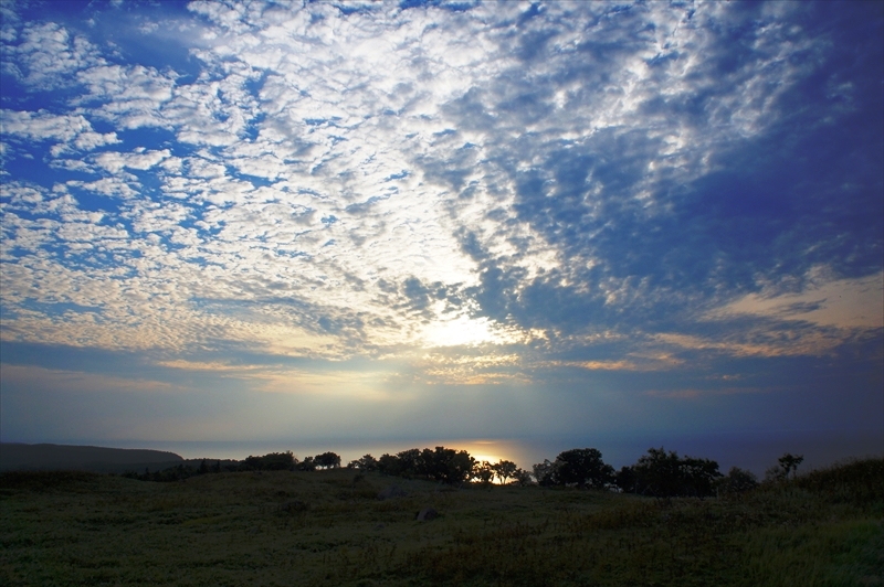 DSC00969_R
