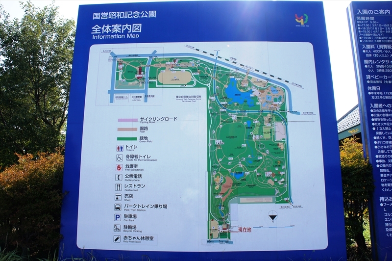 DSC00875_R