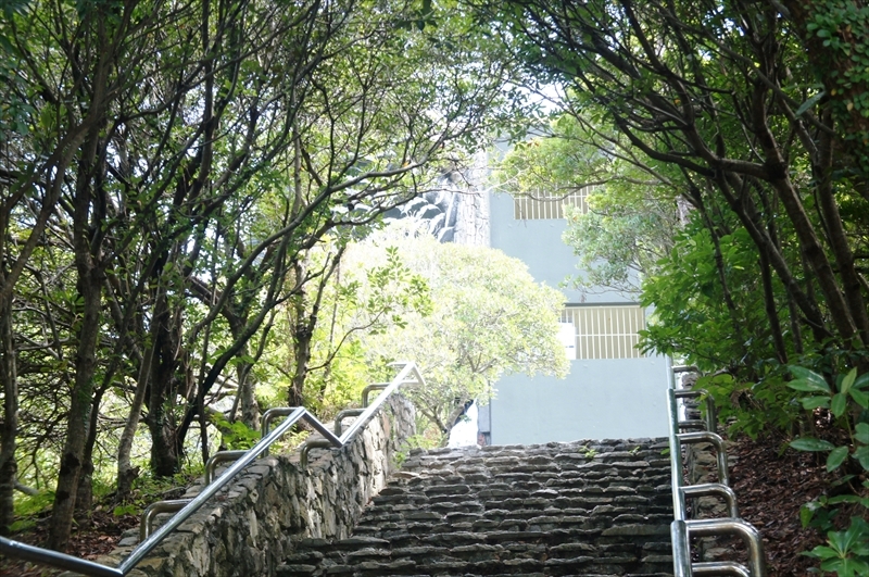 DSC00815_R