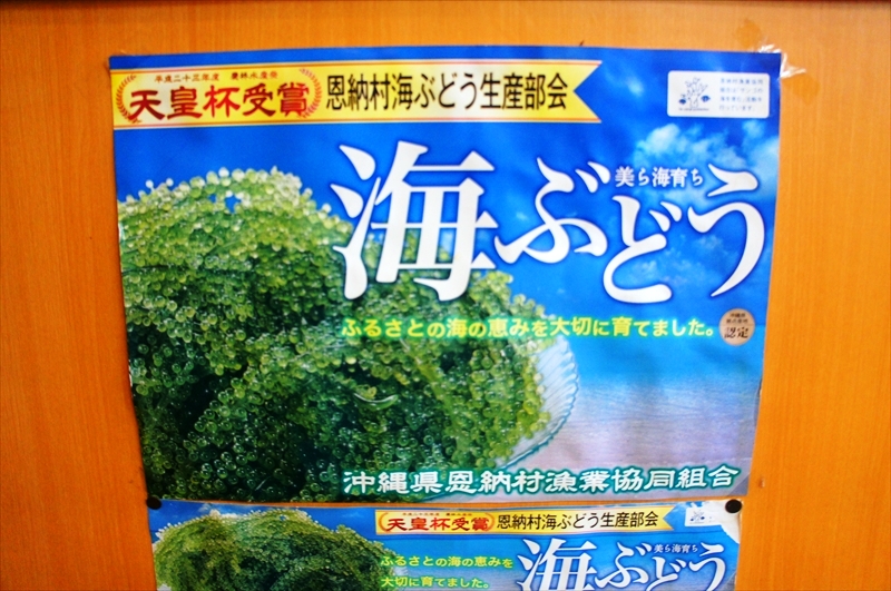 DSC00264_R