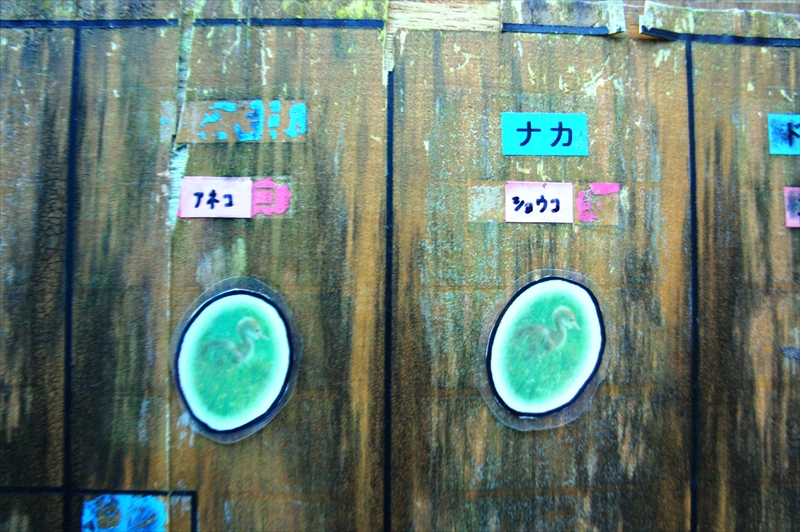 DSC00650_R