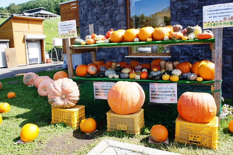DSC00240_R