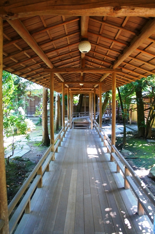 DSC00144_R