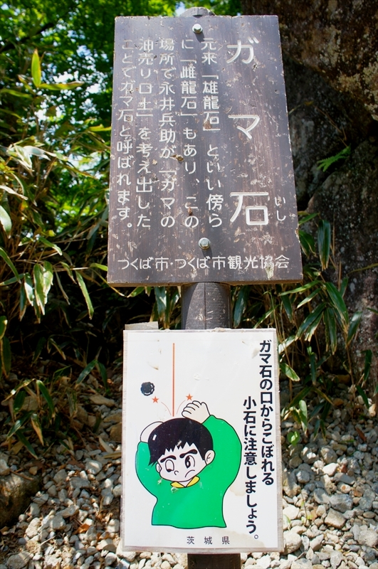DSC04333_R