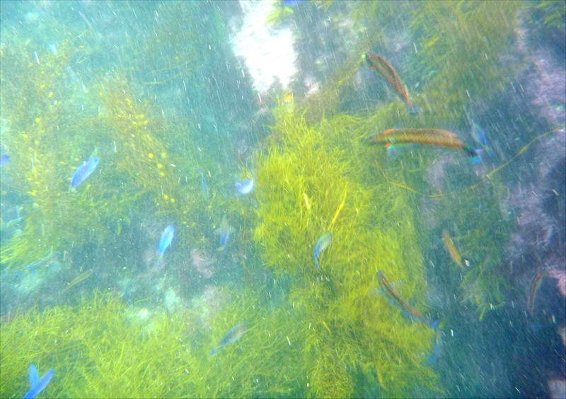 P1200576_R