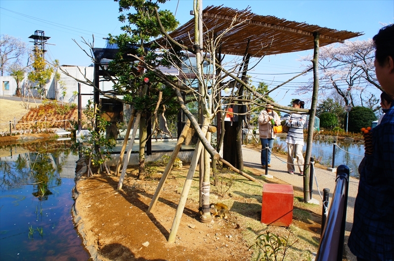 DSC04072_R