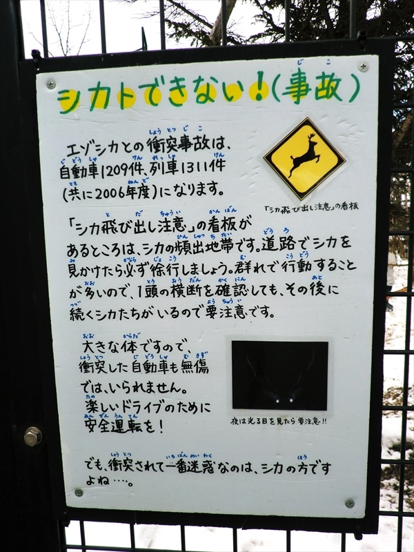 CIMG0778_R