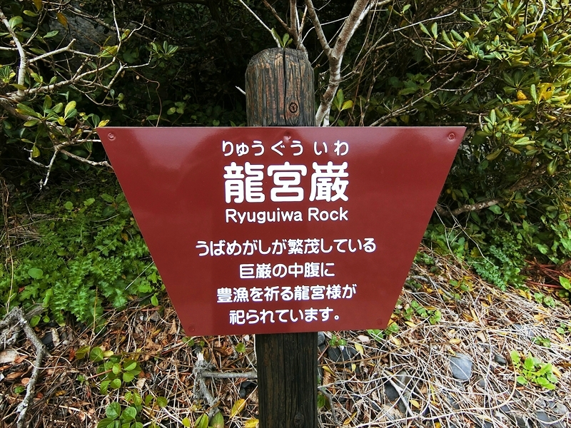 CIMG4672_R