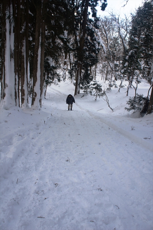 DSC00186_R