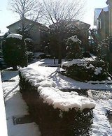 雪景色