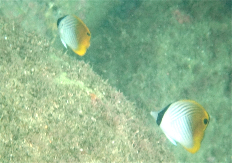 DSC07304_R